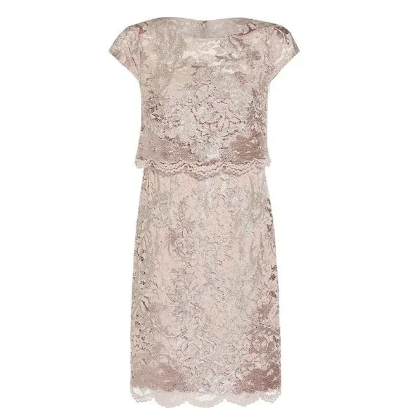 NWT Adrianna Papell Dusty Rose Embroidered Lace Popover Dress Size 2 NEW - Picture 3 of 15